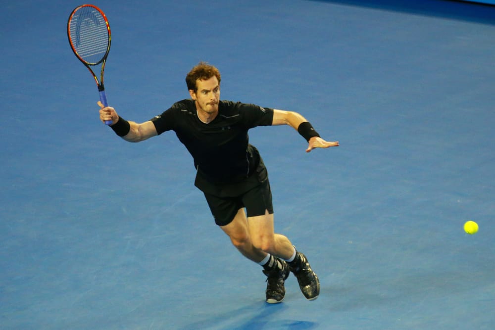 This image has an empty alt attribute; its file name is Andy-Murray-Vermerke.jpg